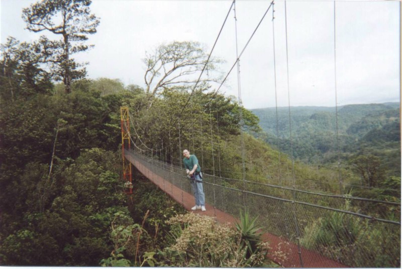 ../Images/Foot bridge.jpg
